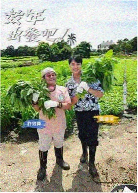 控场型主持观测详情配图